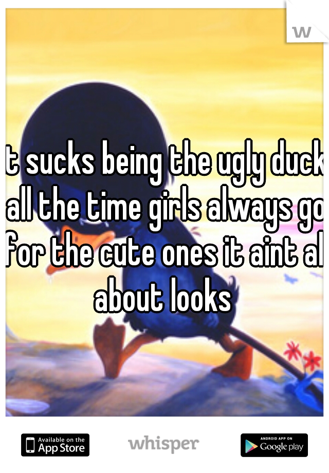 it sucks being the ugly duck all the time girls always go for the cute ones it aint all about looks 