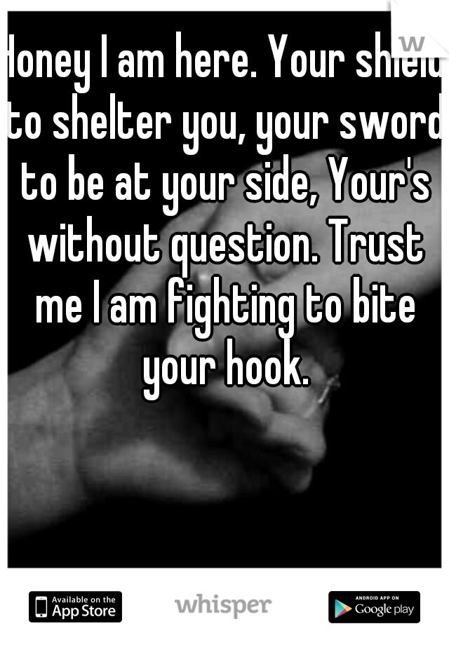 Honey I am here. Your shield to shelter you, your sword to be at your side, Your's without question. Trust me I am fighting to bite your hook.
