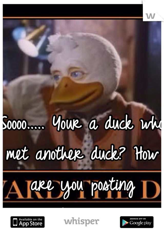 Soooo..... Your a duck who met another duck? How are you posting whispers?