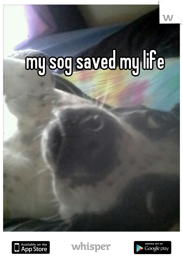 my sog saved my life