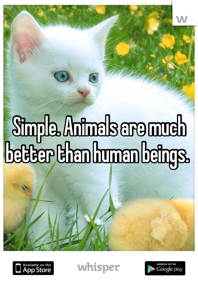 Simple. Animals are much better than human beings.
