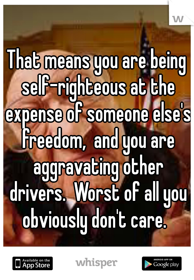 That means you are being self-righteous at the expense of someone else's freedom,  and you are aggravating other drivers.  Worst of all you obviously don't care.  