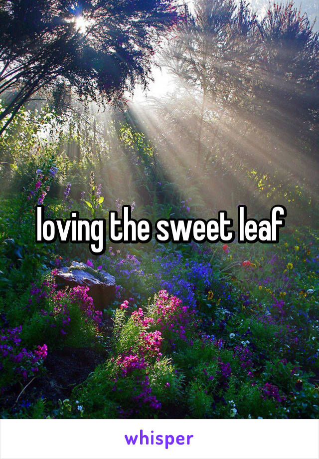 loving the sweet leaf