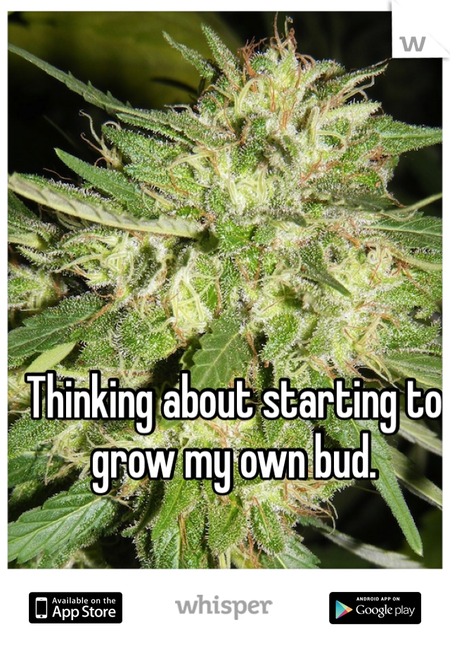 Thinking about starting to grow my own bud. 