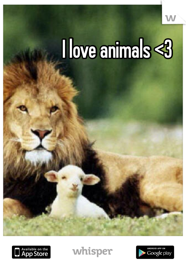 I love animals <3 