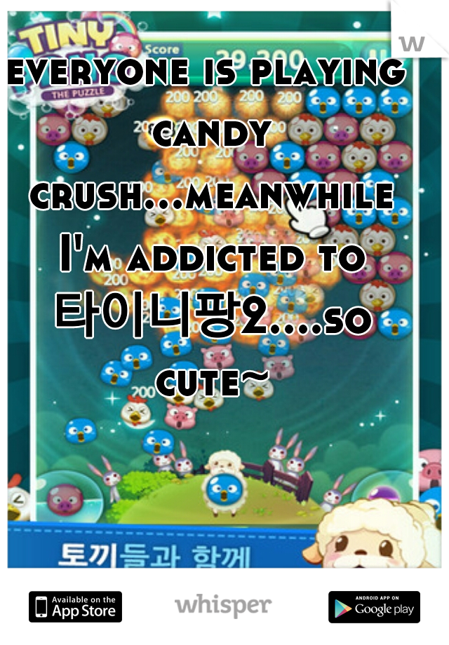 everyone is playing candy crush...meanwhile I'm addicted to 타이니팡2....so cute~