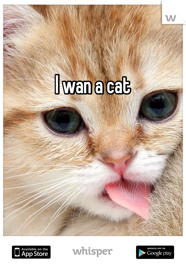 I wan a cat 