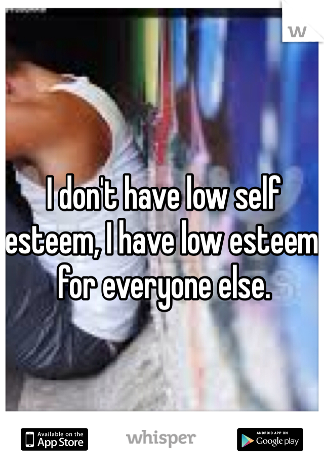 I don't have low self esteem, I have low esteem for everyone else.