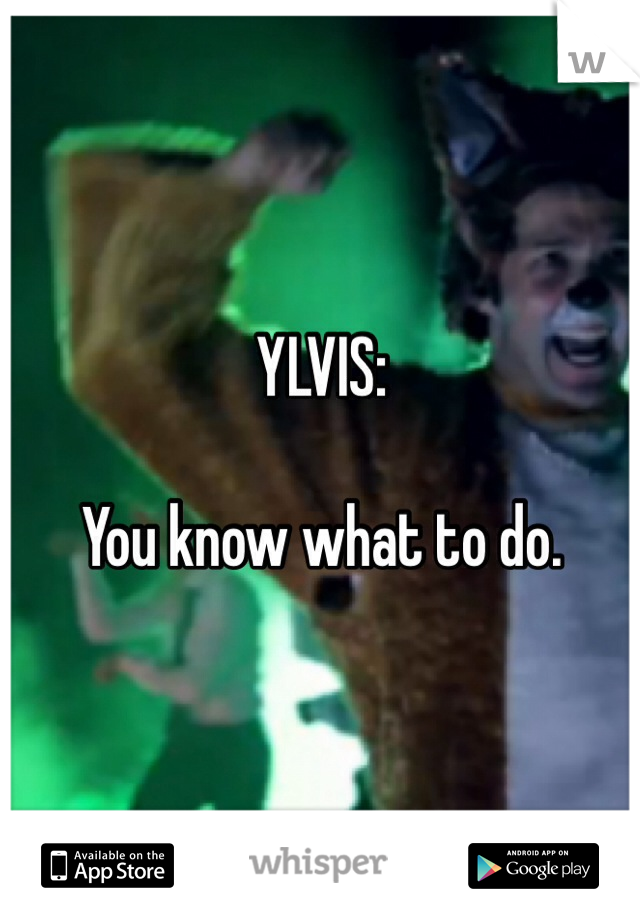 YLVIS:

You know what to do. 