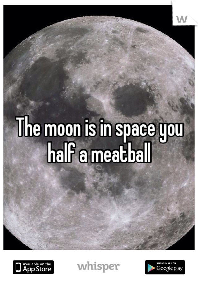 The moon is in space you half a meatball 