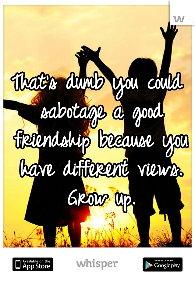 That's dumb you could sabotage a good friendship because you have different views. Grow up.