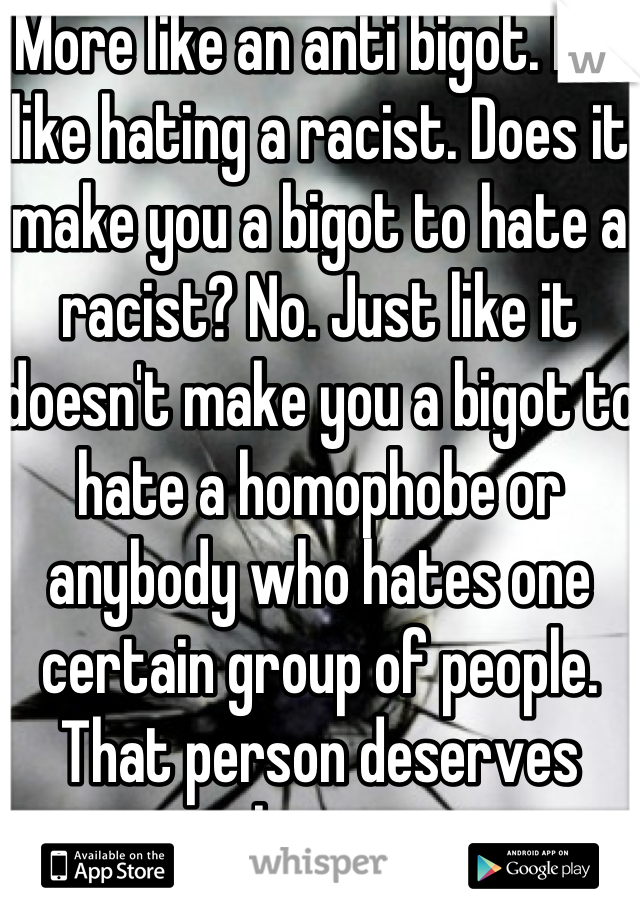 More like an anti bigot. It's like hating a racist. Does it make you a bigot to hate a racist? No. Just like it doesn't make you a bigot to hate a homophobe or anybody who hates one certain group of people. That person deserves hate. 