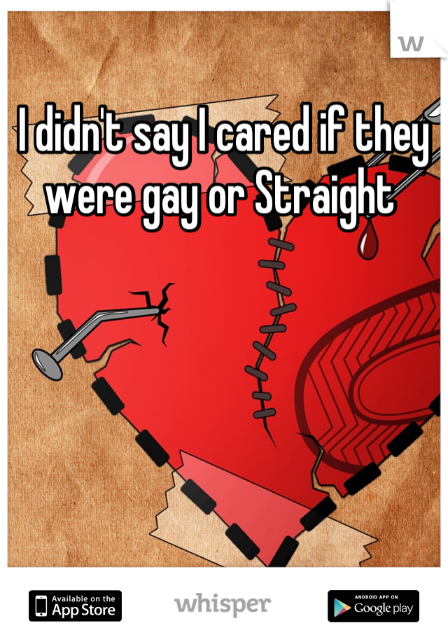 I didn't say I cared if they were gay or Straight 