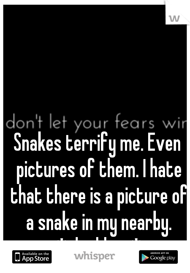 Snakes terrify me. Even pictures of them. I hate that there is a picture of a snake in my nearby. *shudders*