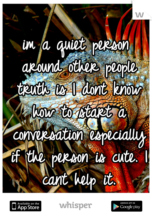 im a quiet person around other people truth is I dont know how to start a conversation especially if the person is cute. I cant help it.