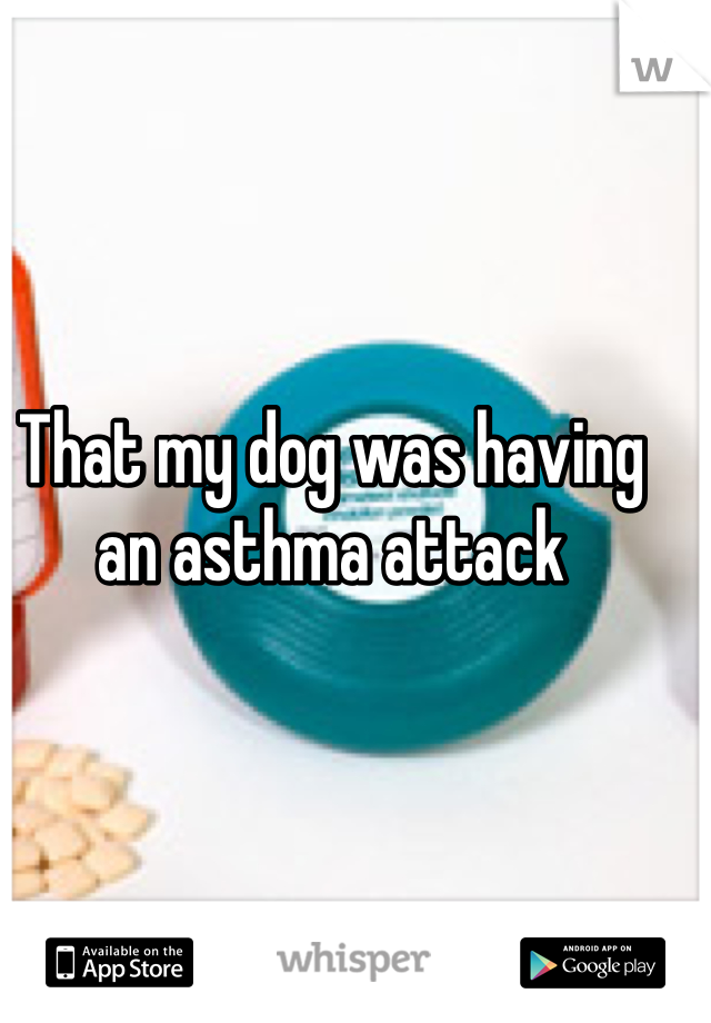 That my dog was having an asthma attack 