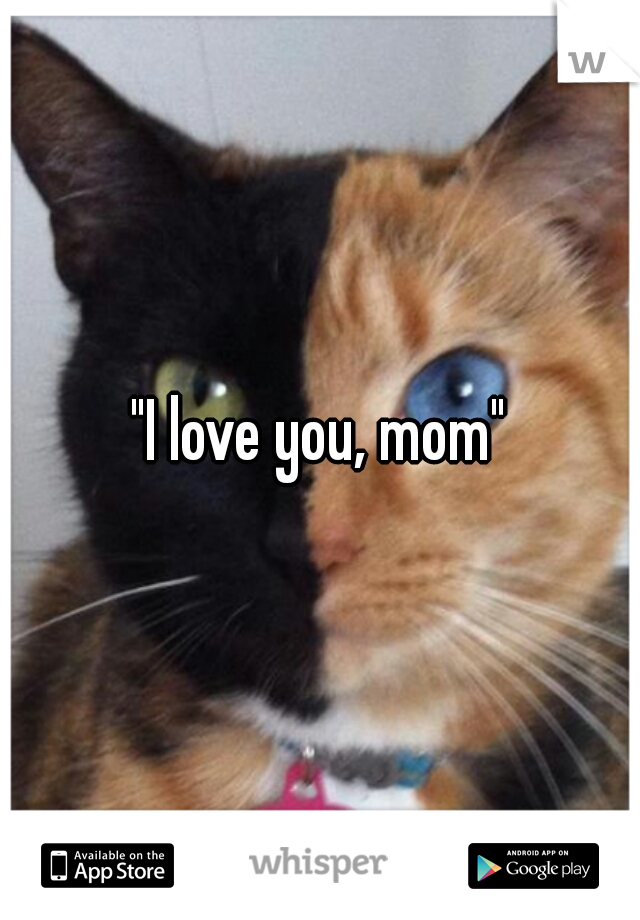 "I love you, mom"