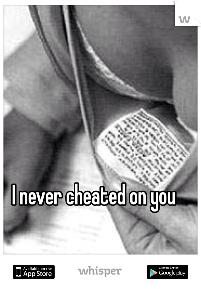 I never cheated on you