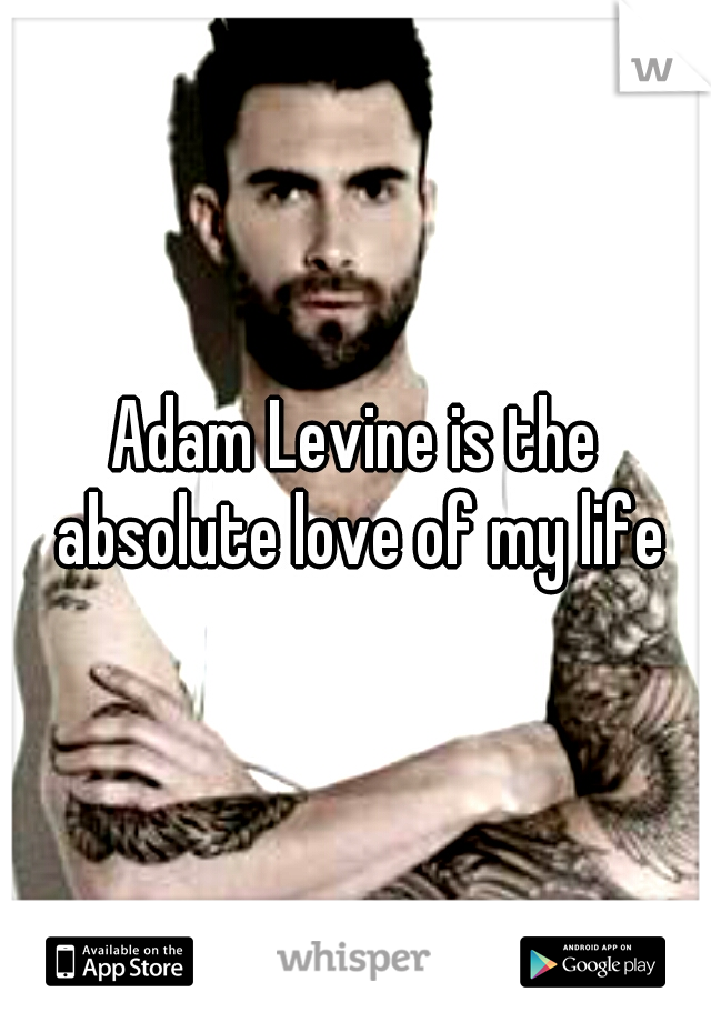 Adam Levine is the absolute love of my life