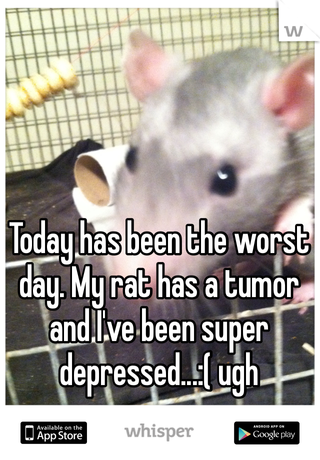 Today has been the worst day. My rat has a tumor and I've been super depressed...:( ugh 
