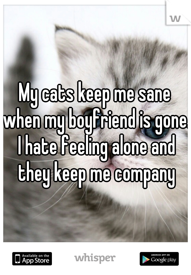 My cats keep me sane when my boyfriend is gone. I hate feeling alone and they keep me company