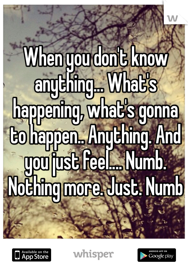 When you don't know anything... What's happening, what's gonna to happen.. Anything. And you just feel.... Numb. Nothing more. Just. Numb 