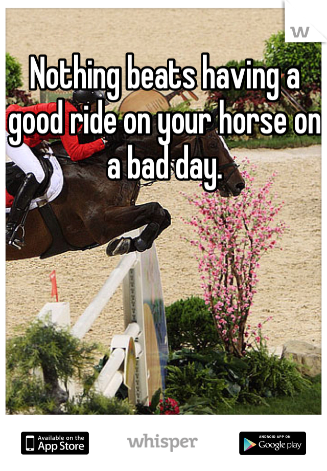 Nothing beats having a good ride on your horse on a bad day. 