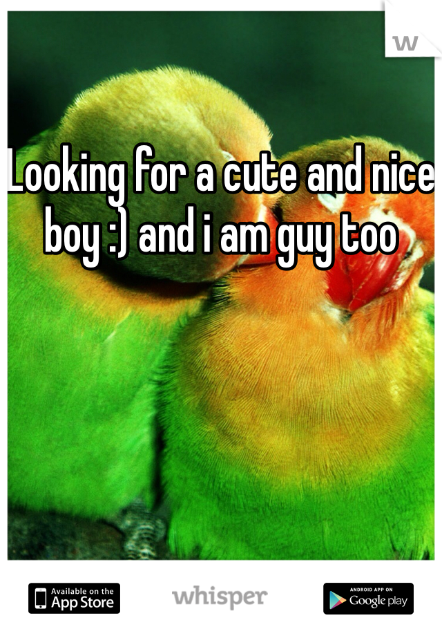 Looking for a cute and nice boy :) and i am guy too
