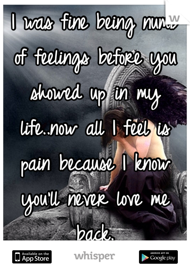 I was fine being numb of feelings before you showed up in my life..now all I feel is pain because I know you'll never love me back.