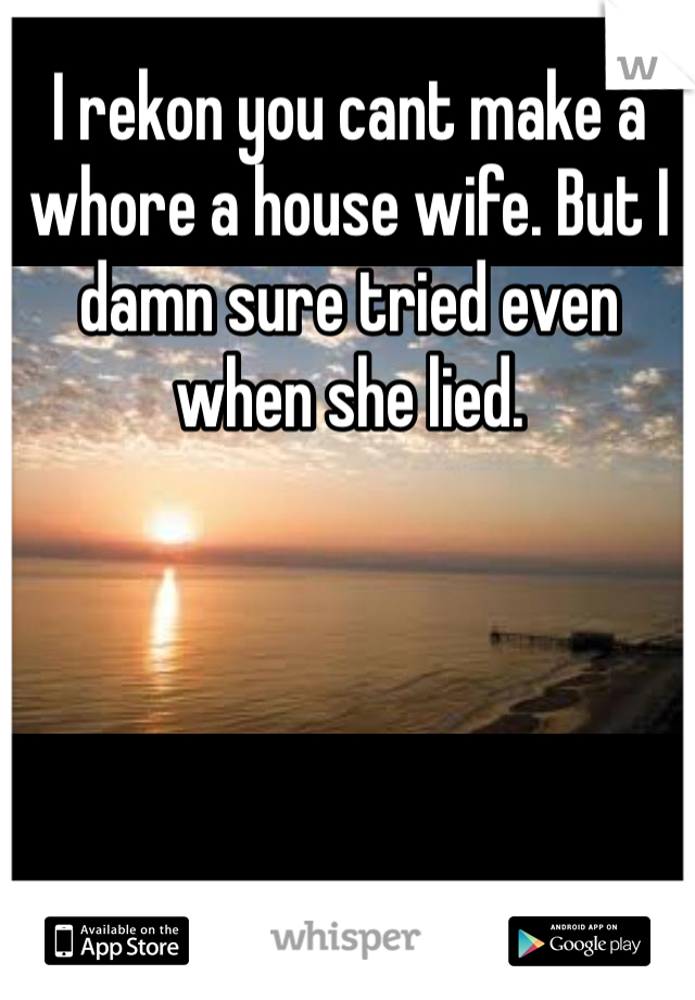 I rekon you cant make a whore a house wife. But I damn sure tried even when she lied.