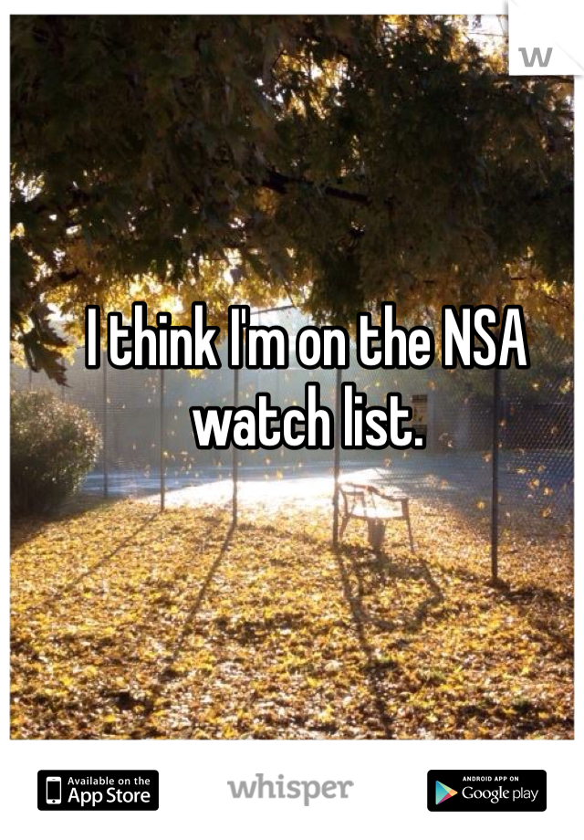 I think I'm on the NSA watch list.