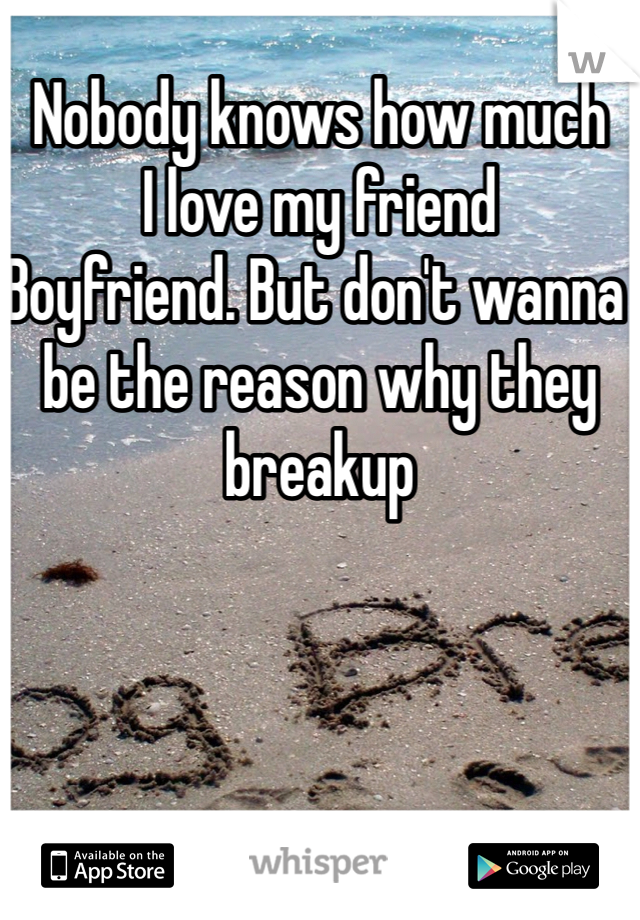 Nobody knows how much
I love my friend
Boyfriend. But don't wanna be the reason why they breakup 
