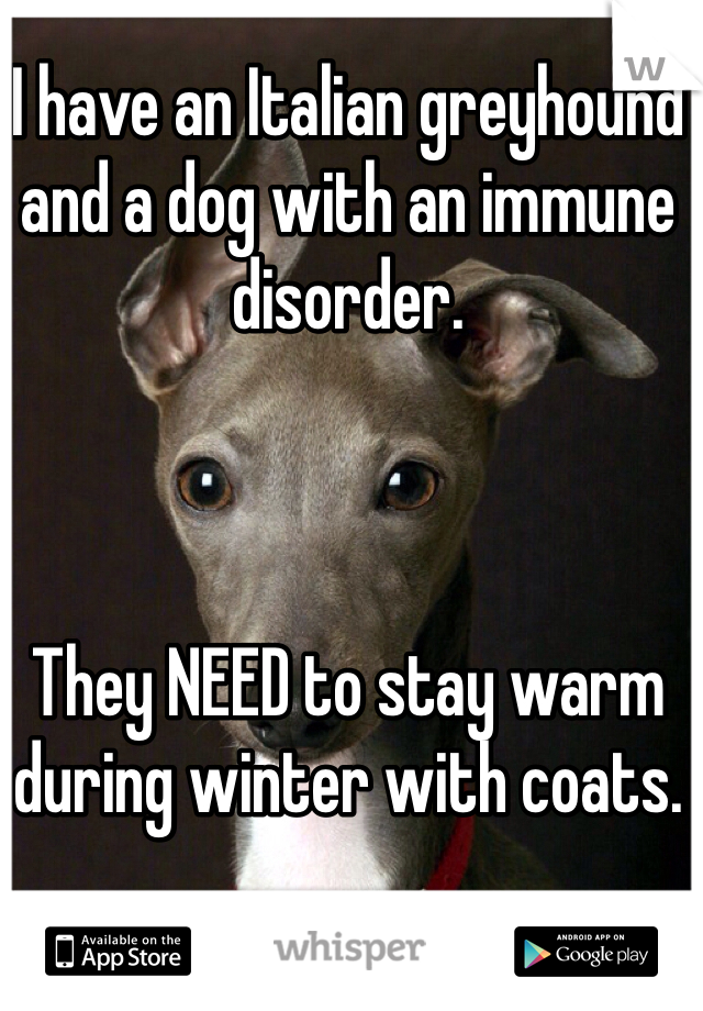 I have an Italian greyhound and a dog with an immune disorder. 



They NEED to stay warm during winter with coats. 