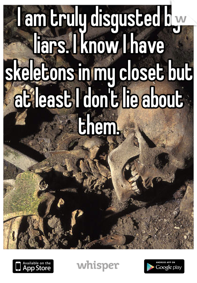I am truly disgusted by liars. I know I have skeletons in my closet but at least I don't lie about them. 
