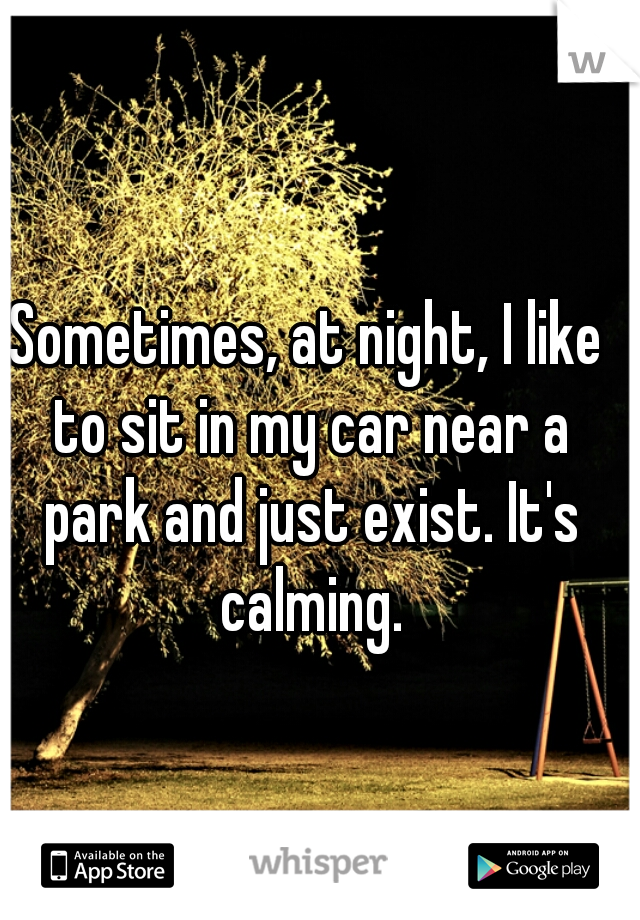 Sometimes, at night, I like to sit in my car near a park and just exist. It's calming.