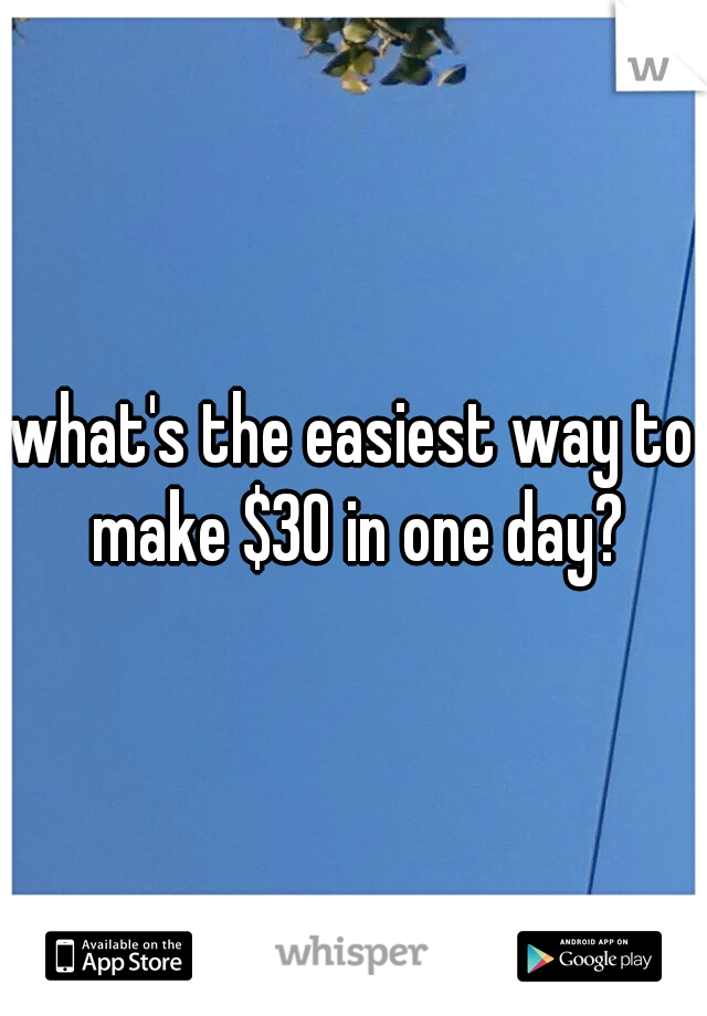 what's the easiest way to make $30 in one day?