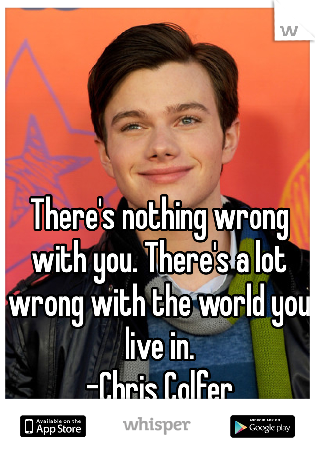 There's nothing wrong with you. There's a lot wrong with the world you live in. 
-Chris Colfer