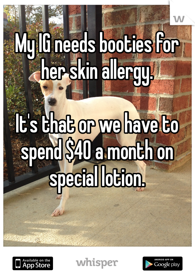 My IG needs booties for her skin allergy. 

It's that or we have to spend $40 a month on special lotion. 