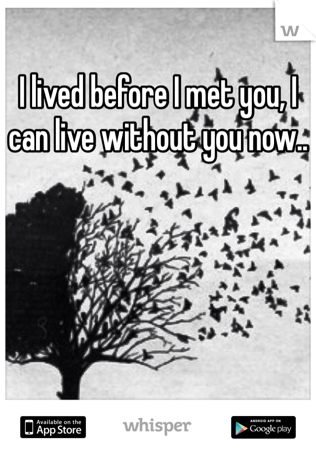 I lived before I met you, I can live without you now..