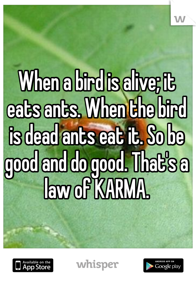 When a bird is alive; it eats ants. When the bird is dead ants eat it. So be good and do good. That's a law of KARMA. 