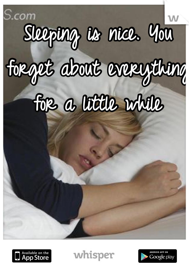 Sleeping is nice. You forget about everything for a little while