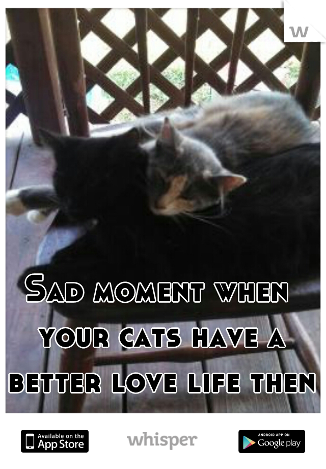Sad moment when your cats have a better love life then you.
