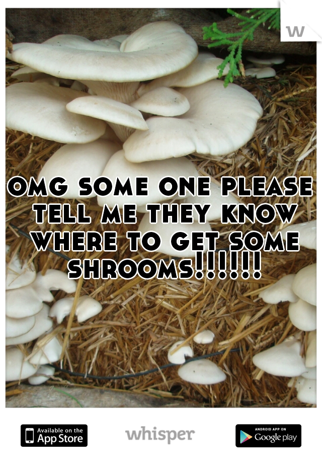 omg some one please tell me they know where to get some shrooms!!!!!!