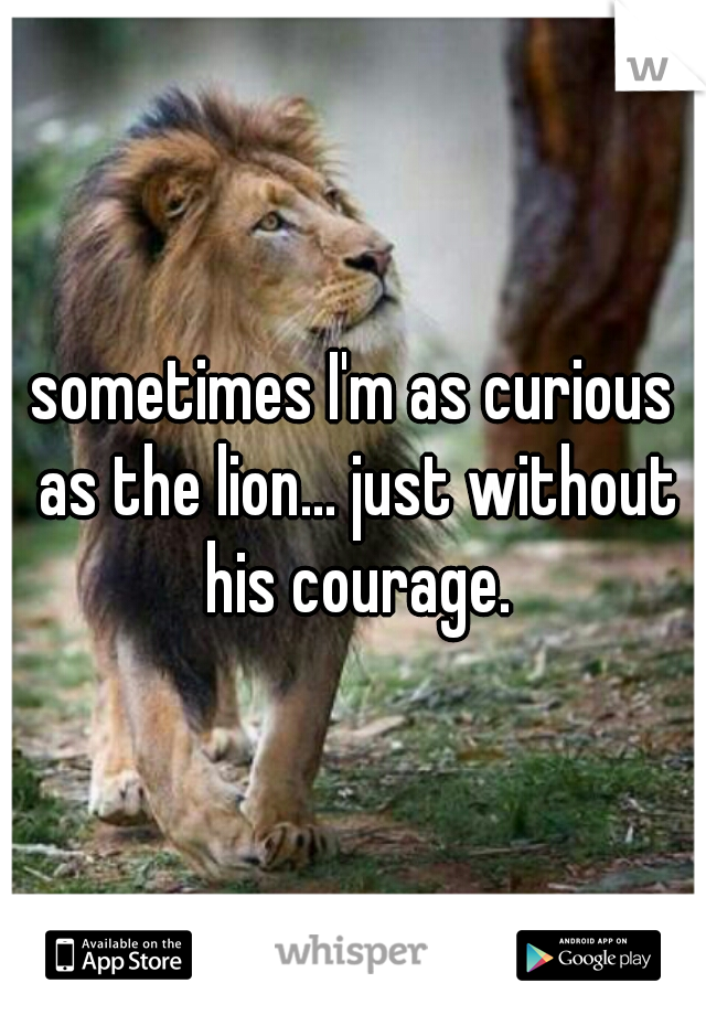 sometimes I'm as curious as the lion... just without his courage.