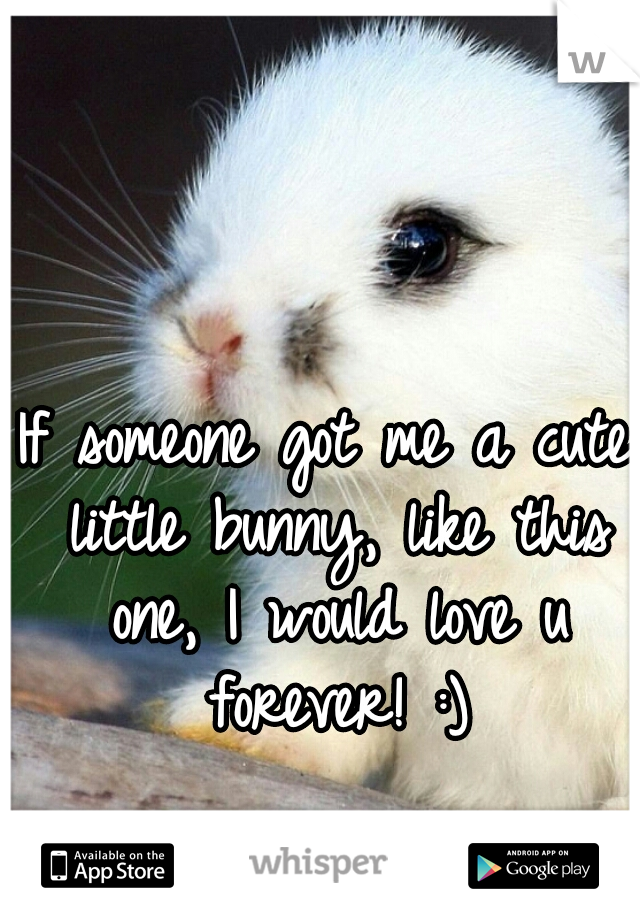 If someone got me a cute little bunny, like this one, I would love u forever! :)