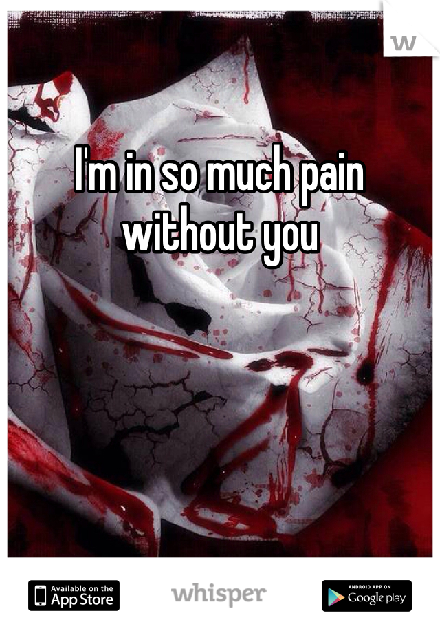 I'm in so much pain without you