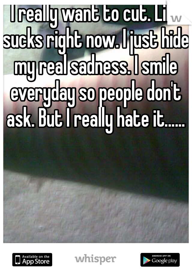I really want to cut. Life sucks right now. I just hide my real sadness. I smile everyday so people don't ask. But I really hate it...... 