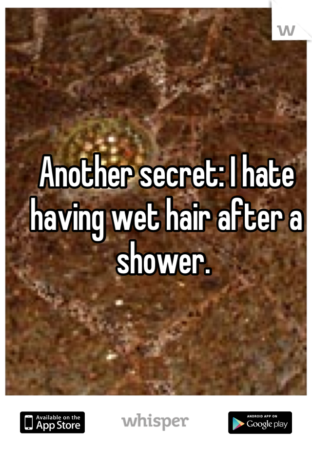 Another secret: I hate having wet hair after a shower. 