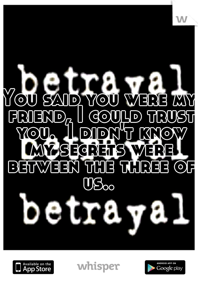 You said you were my friend, I could trust you.  I didn't know my secrets were between the three of us.. 