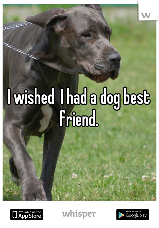 I wished  I had a dog best friend. 